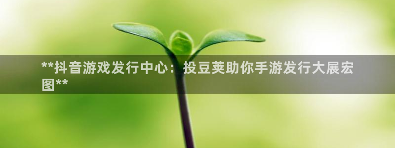 新城平台总代理是谁