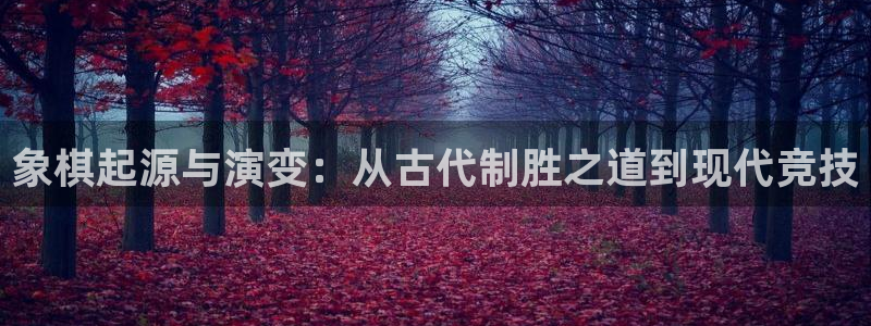 新城平台代理怎么做