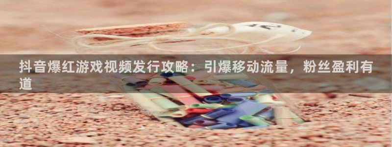 新城平台负责人名单