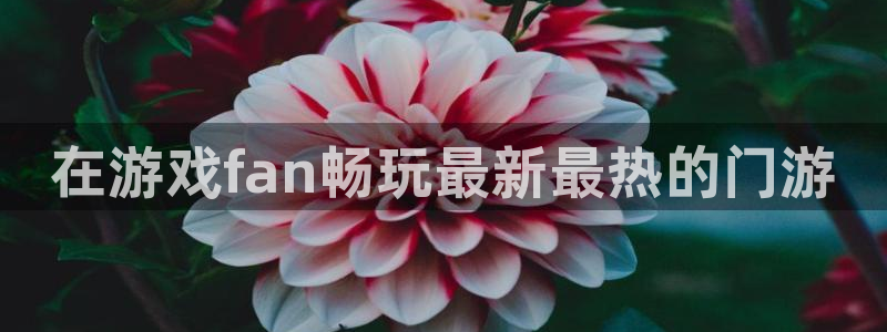 新城平台登录入口网址