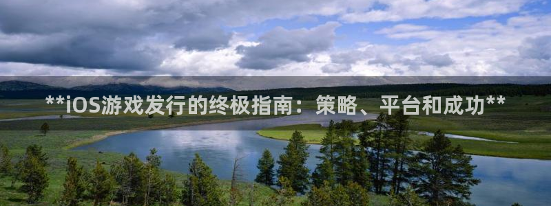 新城平台负责人