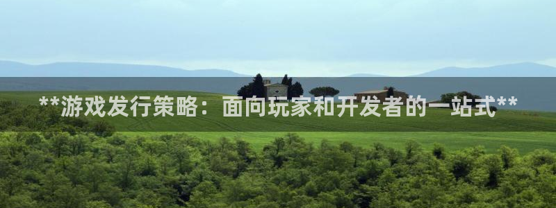 新城平台官网注册入口