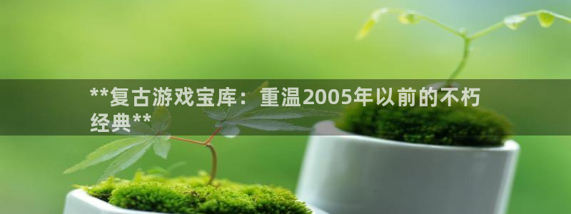 新城平台注册公司流程