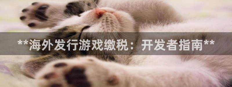 新城平台注册网址查询