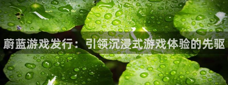 新城平台登陆