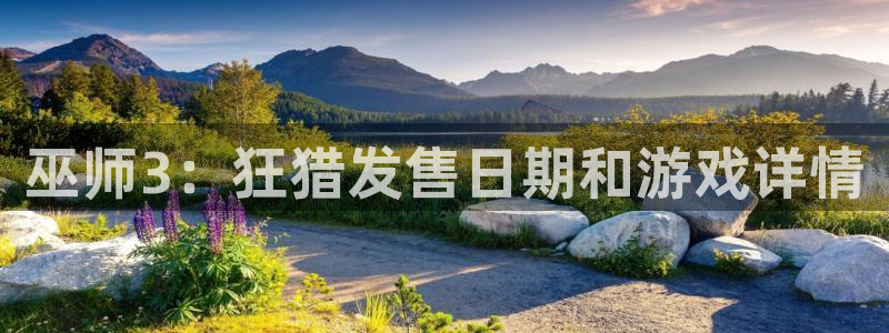 新城平台官网首页