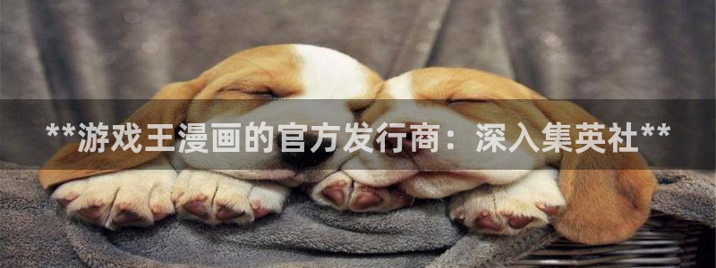 新城平台负责人