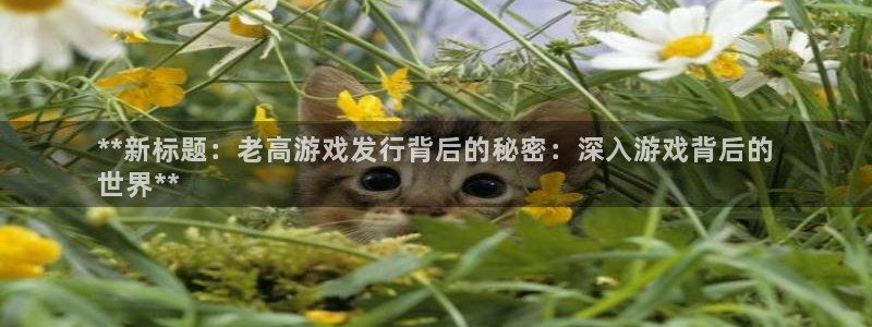 新城平台平台最新活动