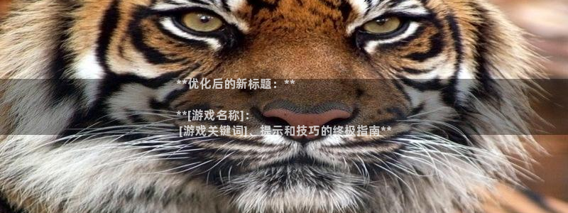 新城平台线路登录不上去怎么回事儿