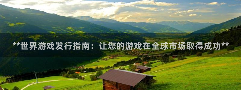 新城平台线路登录不上去了怎么办