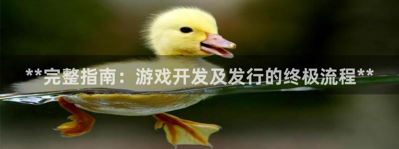 新城平台官网注册入口