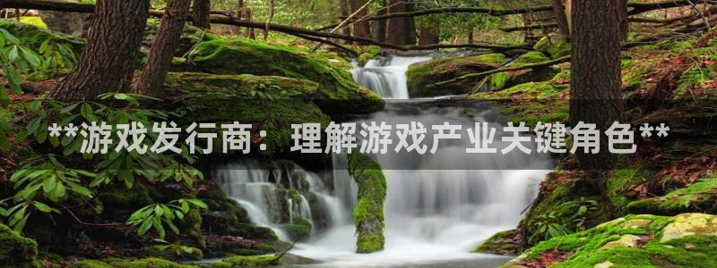 新城平台在线登陆