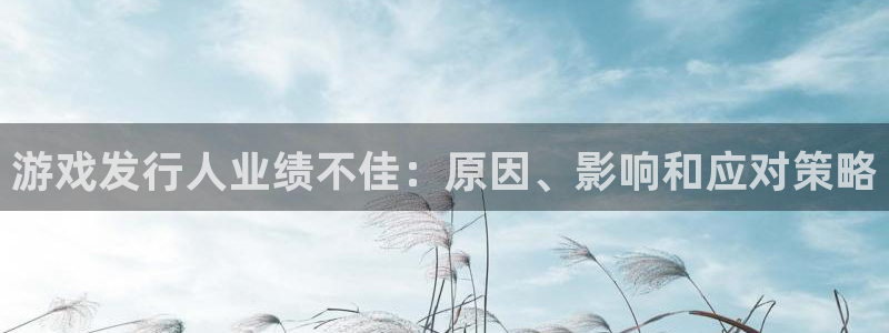 新城平台注册登录地址是什么