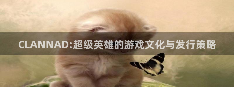 新城平台登录入口官网下载手机版