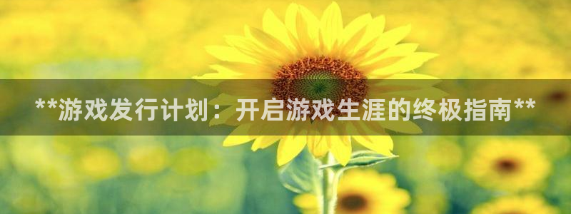 新城平台平台