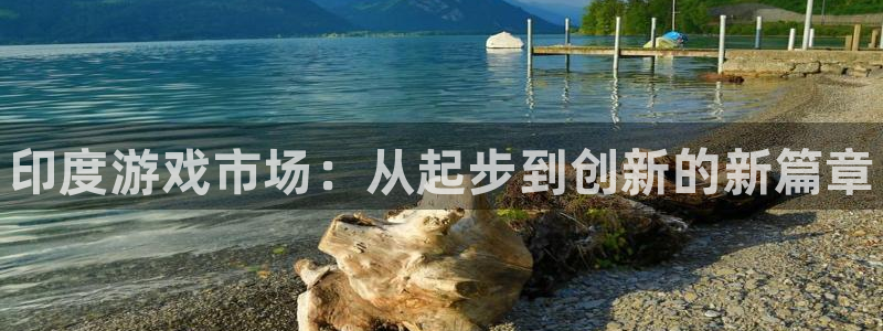 新城平台登录入口官网首页