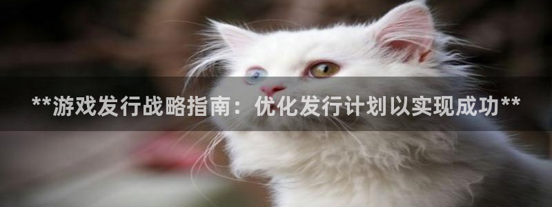 新城平台注册网址：**游戏发行战略指南：优化发行计划以实现成功**
