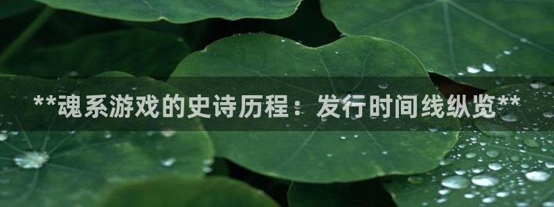 新城平台注册流程视频：**魂系游戏的史诗历程：发行时间线纵览**