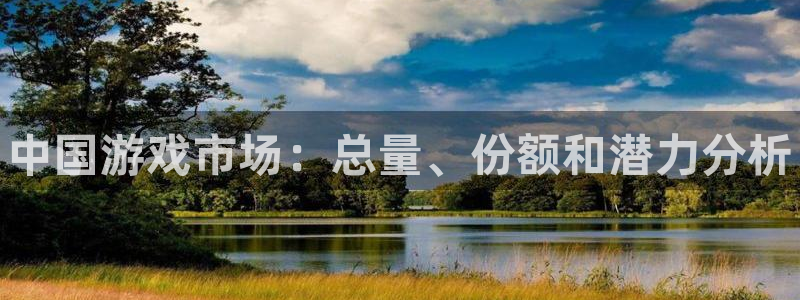 新城平台是干嘛的公司