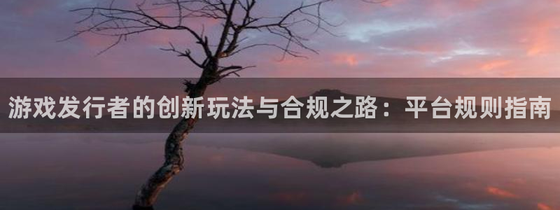 新城平台线路检测中心：游戏发行者的创新玩法与合规之路：平台规则指南