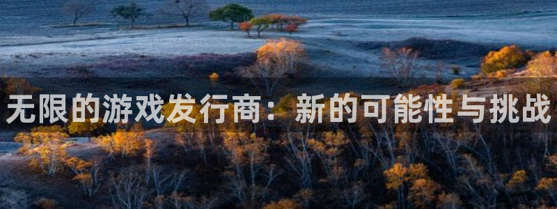 新城平台终7O777：无限的游戏发行商：新的可能性与挑战