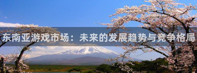 新城平台登录入口官网：东南亚游戏市场：未来的发展趋势与竞争格局
