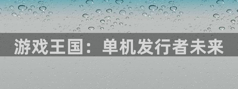 新城平台线路登录不上去怎么回事：游戏王国：单机发行者未来