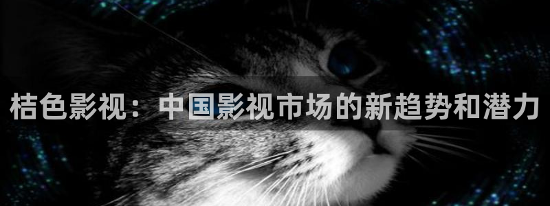 三米影视电视剧
