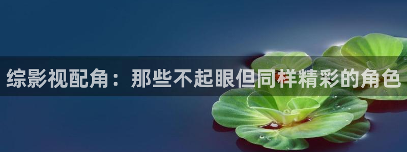 神马影院三米：综影视配角：那些不起眼但同样精彩的角色