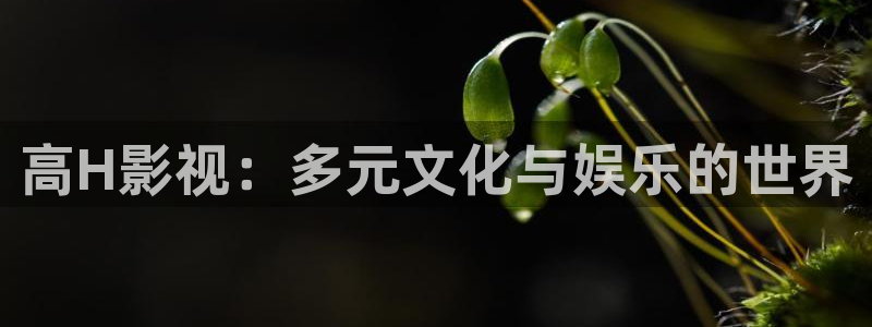 君九龄三米影视