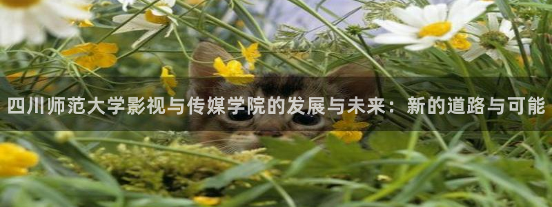 三米影视免费观看