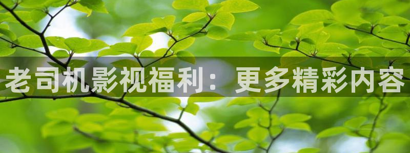 三米影视下载