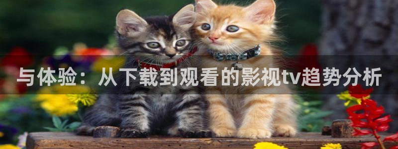 三米影视电视剧免费播放