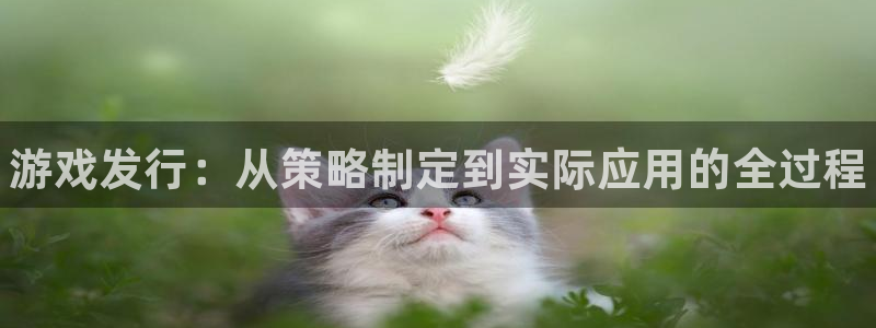 新城平台注册：游戏发行：从策略制定到实际应用的全过程