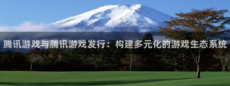 新城平台注册资金多少亿：腾讯游戏与腾讯游戏发行：构建多元化的游戏生态系统